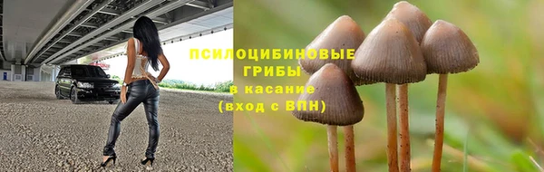 трава Абинск