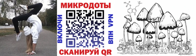 где продают Весьегонск Псилоцибиновые грибы Cubensis
